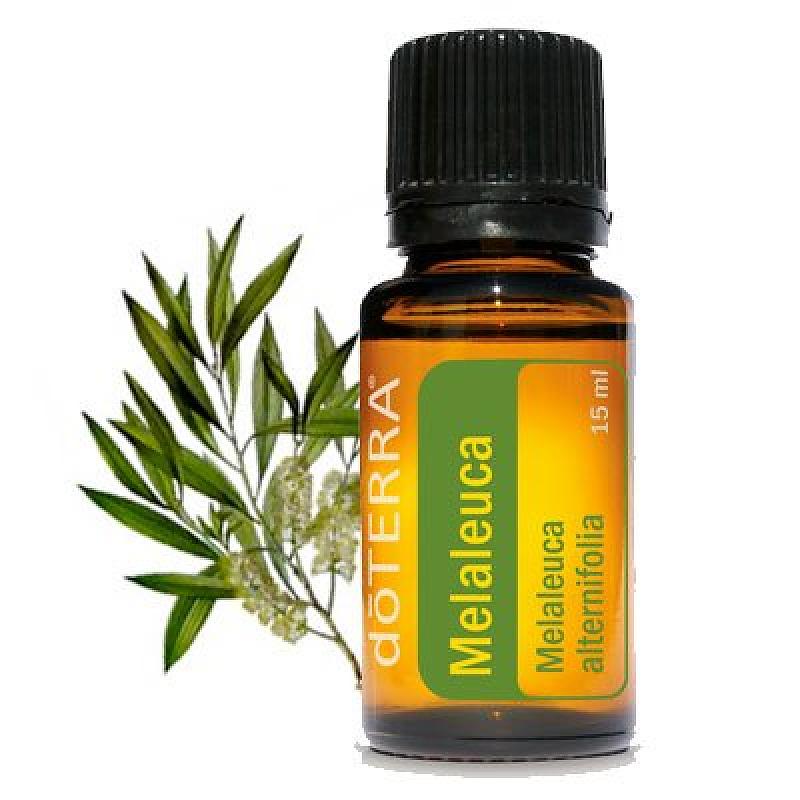 DoTerra Melaleuca Esenciálny olej čajovníkový 15 ml