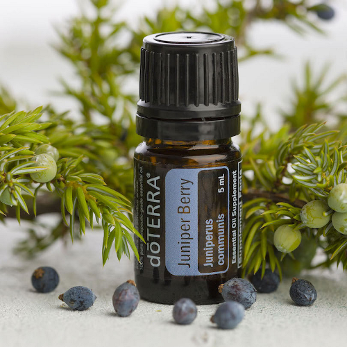  DoTerra Juniper Berry (Borievka) 5 ml