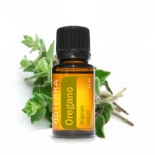 DoTerra Oregano Esenciálny olej oregano-pamajorán 15 ml