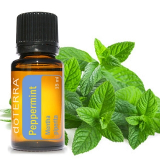 DoTerra Peppermint Esenciálny olej  mätový 15 ml