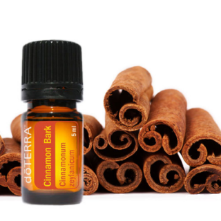 DoTerra  Éterický olej Cinnamon (škorica) 5 ml