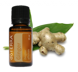 DoTerra  Ginger oil (Zázvor)15 ml